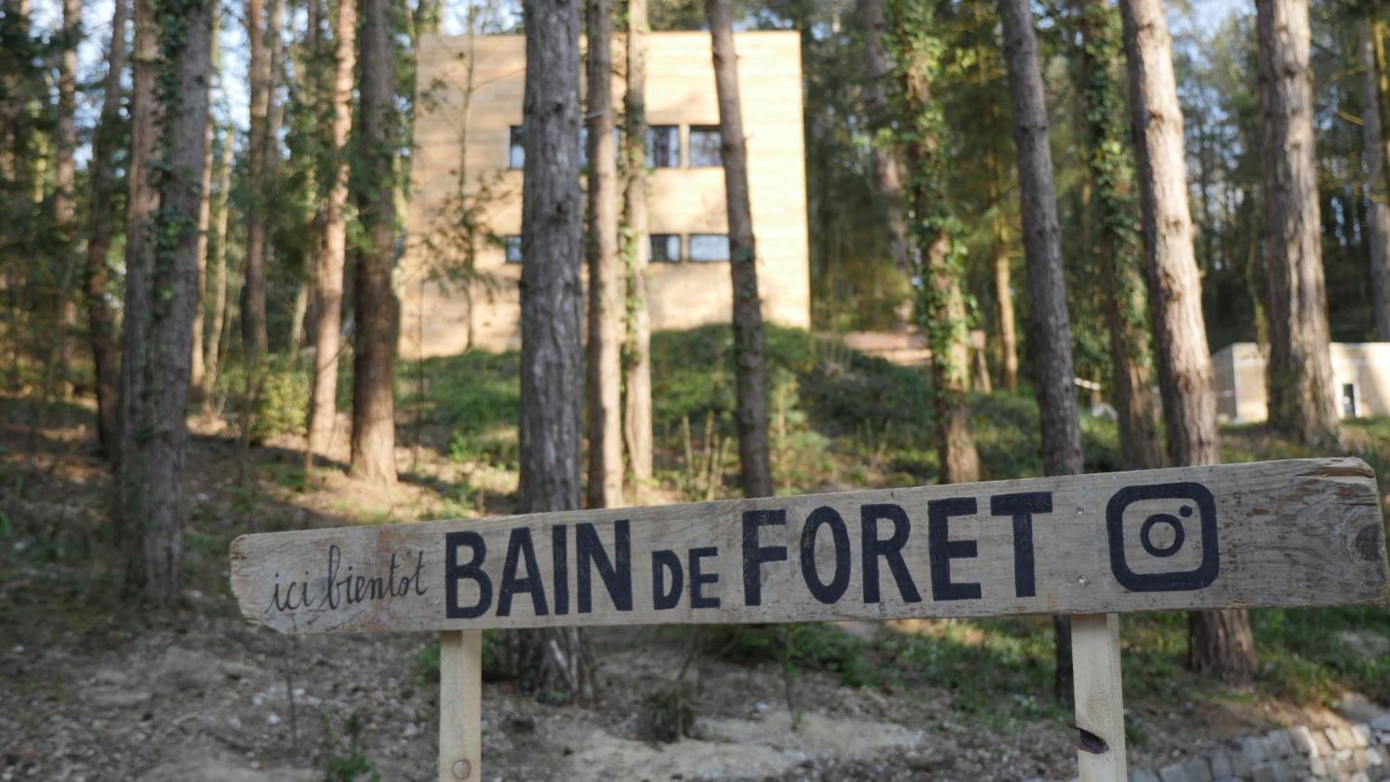 Bain De Foret - Lodges Cosy & Spa Neufchâtel-Hardelot Room photo