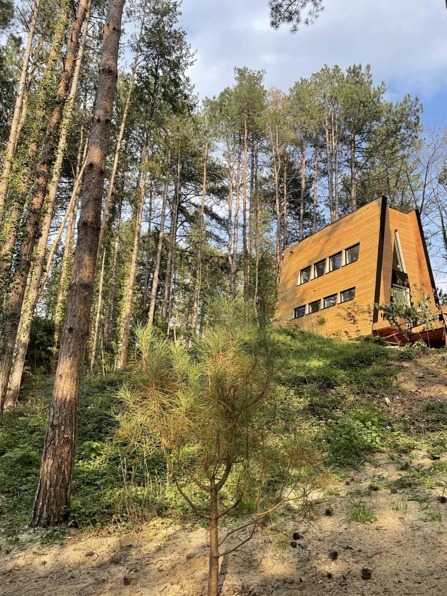 Bain De Foret - Lodges Cosy & Spa Neufchâtel-Hardelot Room photo